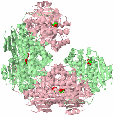 Image Biological Unit 3