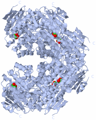 Image Biological Unit 4