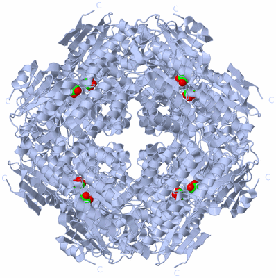 Image Biological Unit 5