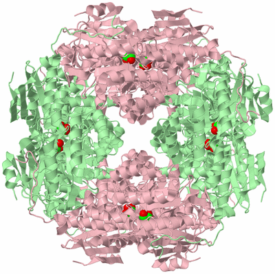 Image Biological Unit 6