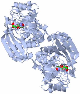 Image Biological Unit 1