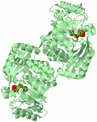 Image Biological Unit 2