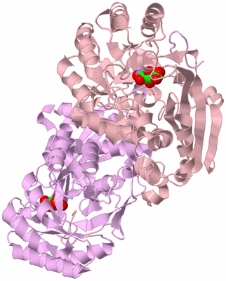 Image Biological Unit 3