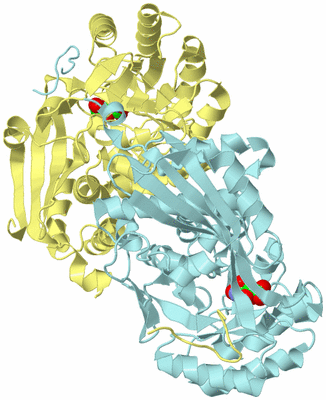 Image Biological Unit 4