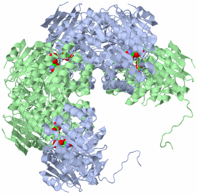 Image Biological Unit 5