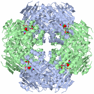 Image Biological Unit 6