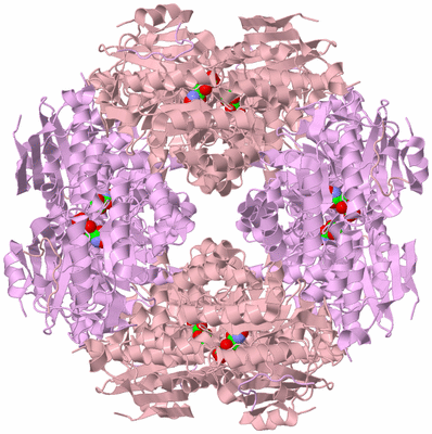 Image Biological Unit 7