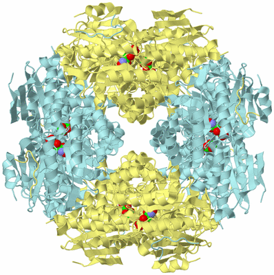 Image Biological Unit 8