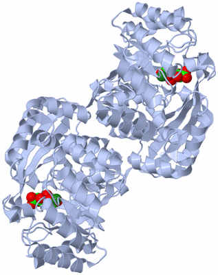 Image Biological Unit 2