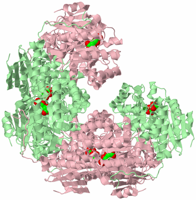 Image Biological Unit 3