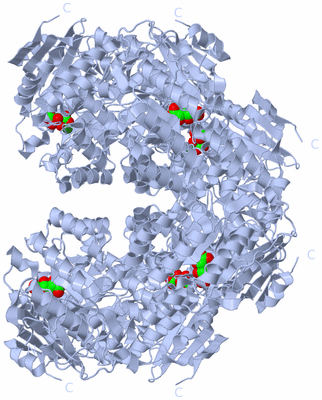 Image Biological Unit 4