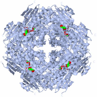 Image Biological Unit 5