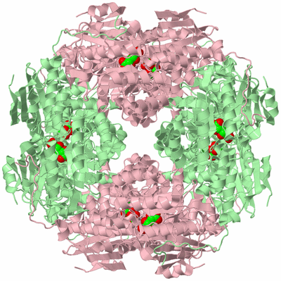 Image Biological Unit 6