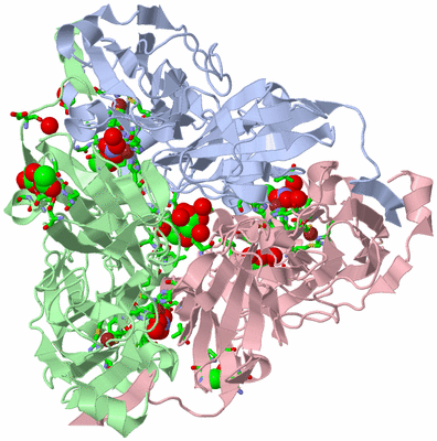 Image Asym./Biol. Unit - sites