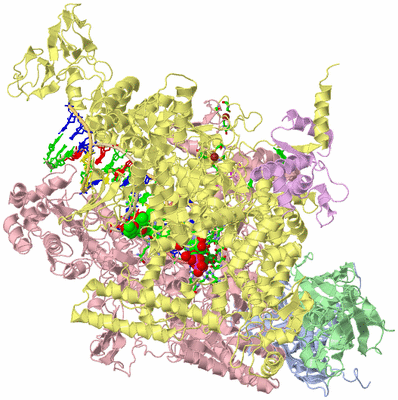 Image Biol. Unit 1 - sites