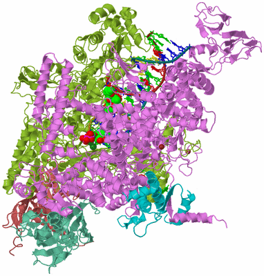 Image Biological Unit 2