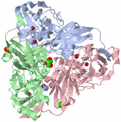 Image Asym./Biol. Unit