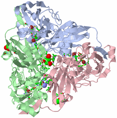 Image Asym./Biol. Unit - sites