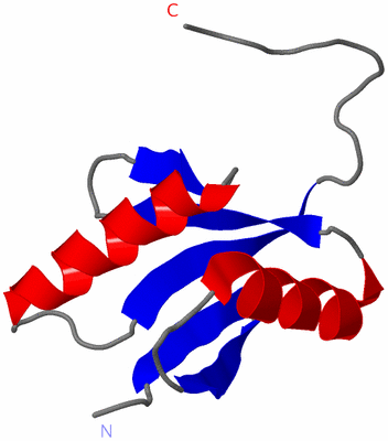 Image NMR Structure - model 1