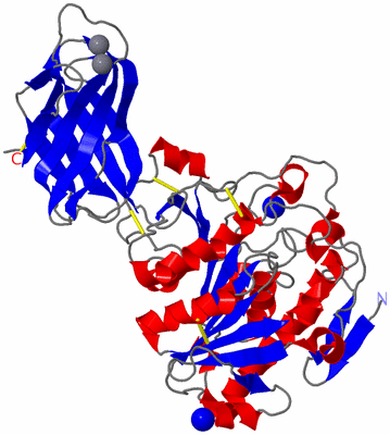 Image Asym./Biol. Unit