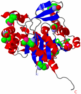 Image Asym. Unit - sites