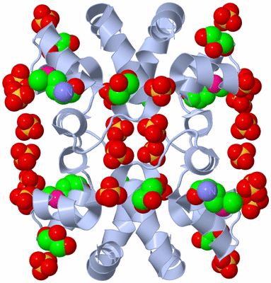 Image Biological Unit 1