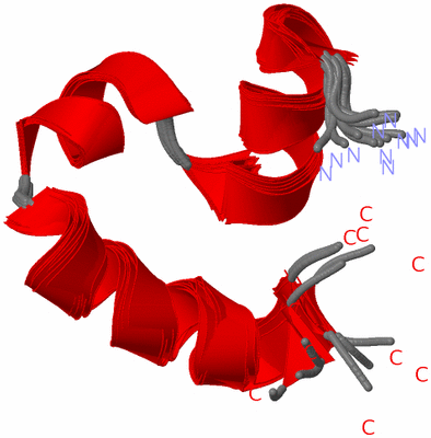 Image NMR Structure - all models