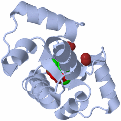 Image Biological Unit 2