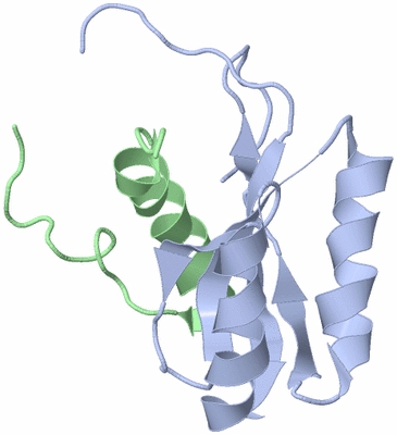 Image NMR Structure - model 1