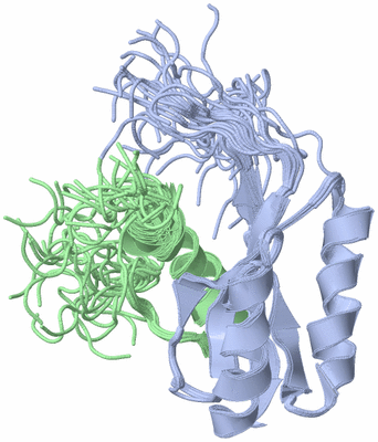 Image NMR Structure - all models