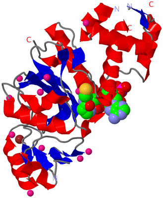 Image Asym./Biol. Unit