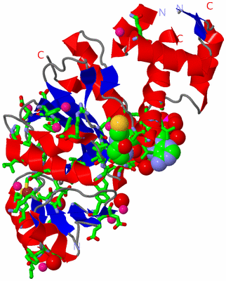 Image Asym./Biol. Unit - sites