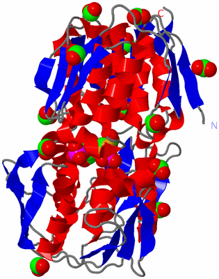 Image Asym./Biol. Unit