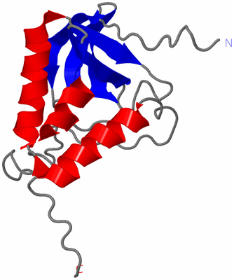 Image NMR Structure - model 1