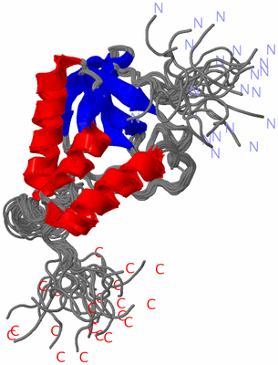 Image NMR Structure - all models