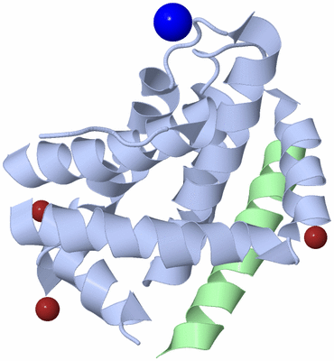 Image Biological Unit 1