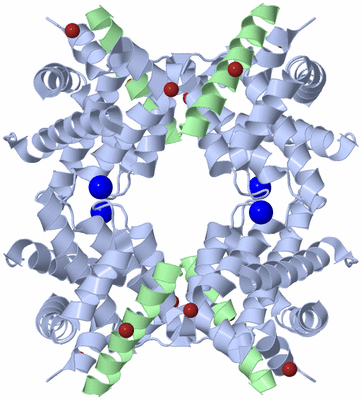 Image Biological Unit 2