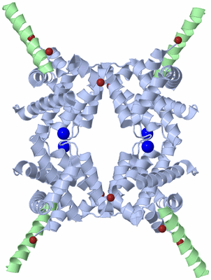 Image Biological Unit 3