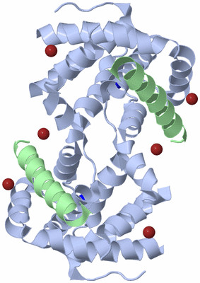 Image Biological Unit 4