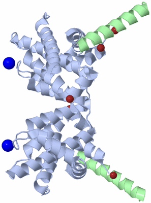 Image Biological Unit 5