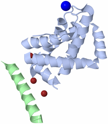 Image Biological Unit 6