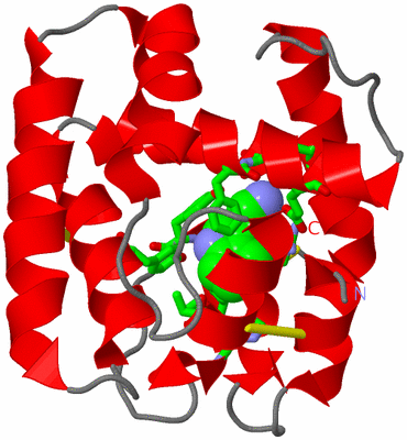 Image Asym./Biol. Unit - sites