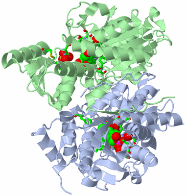 Image Asym./Biol. Unit - sites