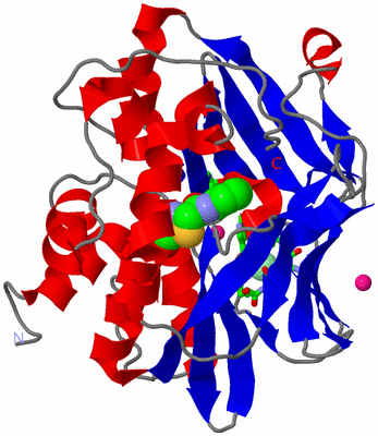 Image Asym./Biol. Unit - sites