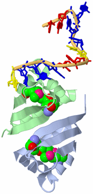 Image Biological Unit 1