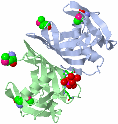 Image Asym./Biol. Unit - sites