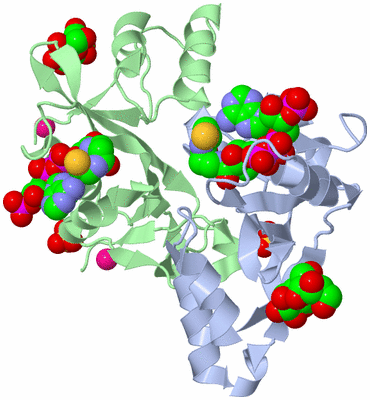 Image Biological Unit 1