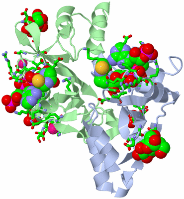 Image Biol. Unit 1 - sites