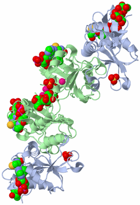 Image Biological Unit 2