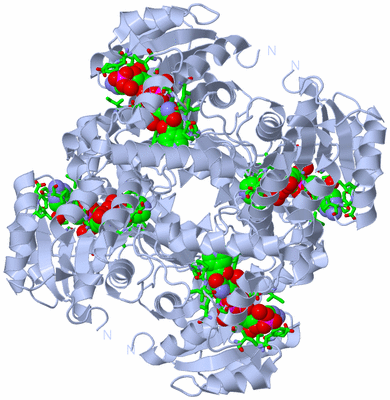 Image Biol. Unit 1 - sites